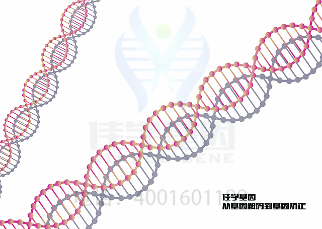 【广东会GDH基因检测】安诺星基因检测