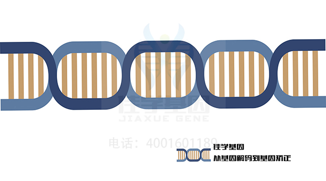 【广东会GDH基因检测】安室律定基因检测