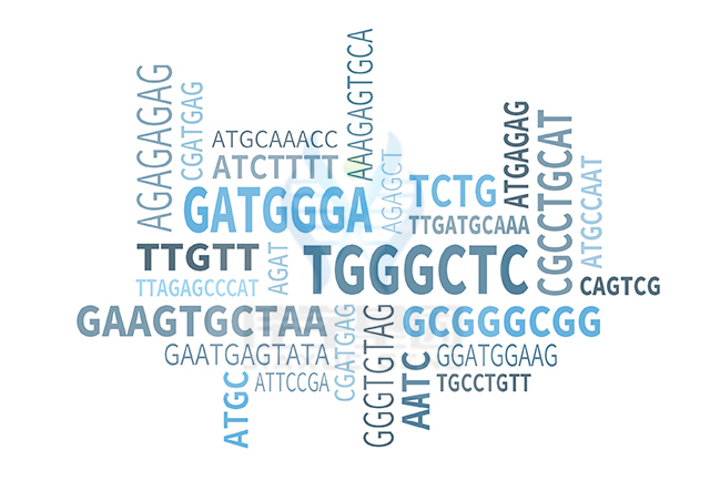 【广东会GDH基因检测】二氢脂酰胺脱氢酶缺乏症(Dihydrolipoamide dehydrogenase deficiency)基