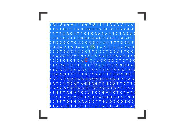 【广东会GDH基因检测】神经母细胞瘤2型基因解码、<a  data-cke-saved-href=http://www.hscy168.com/tk/jiema/cexujishu/2021/31933.html href=http://www.hscy168.com/tk/jiema/cexujishu/2021/31933.html>基因检测</a>报告看得懂吗？