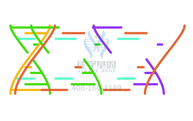 【广东会GDH基因-基因检测】为什么同种疾病会有不同表现类型