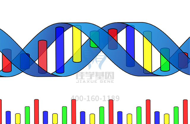 【广东会GDH基因检测】胺碘酮基因检测