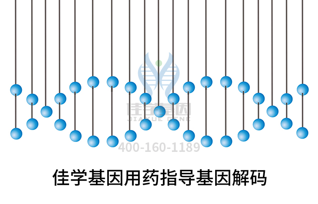 【基因解码基因