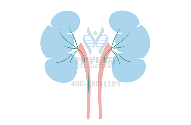 【广东会GDH基因检测】常染色体显性广泛性甲状腺激素抵抗基因解码、<a  data-cke-saved-href=http://www.hscy168.com/tk/jiema/cexujishu/2021/31933.html href=http://www.hscy168.com/tk/jiema/cexujishu/2021/31933.html>基因检测</a>的报告有人解读吗？