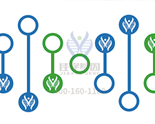 【广东会GDH基因-基因检测】核酸提取技术简述（下）