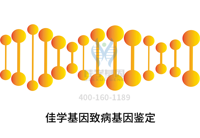 【广东会GDH基因检测】增噬力酸基因检测