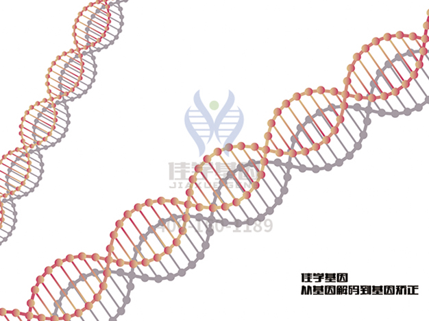 【广东会GDH基因解码-基因检测】为什么爱因斯坦如此聪明，他的两个孩子却是疯子