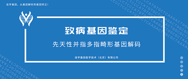 先天性并指多指畸形-致病基因鉴定基因检测