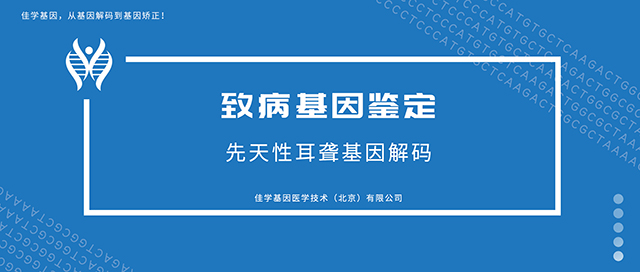 先天性耳聋-致病基因鉴定基因检测