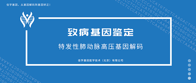 特发性肺动脉高压-致病基因鉴定基因检测