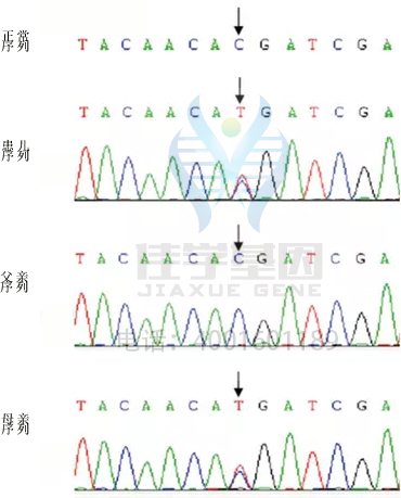 基因解码取代基因检测成为基因行业主流